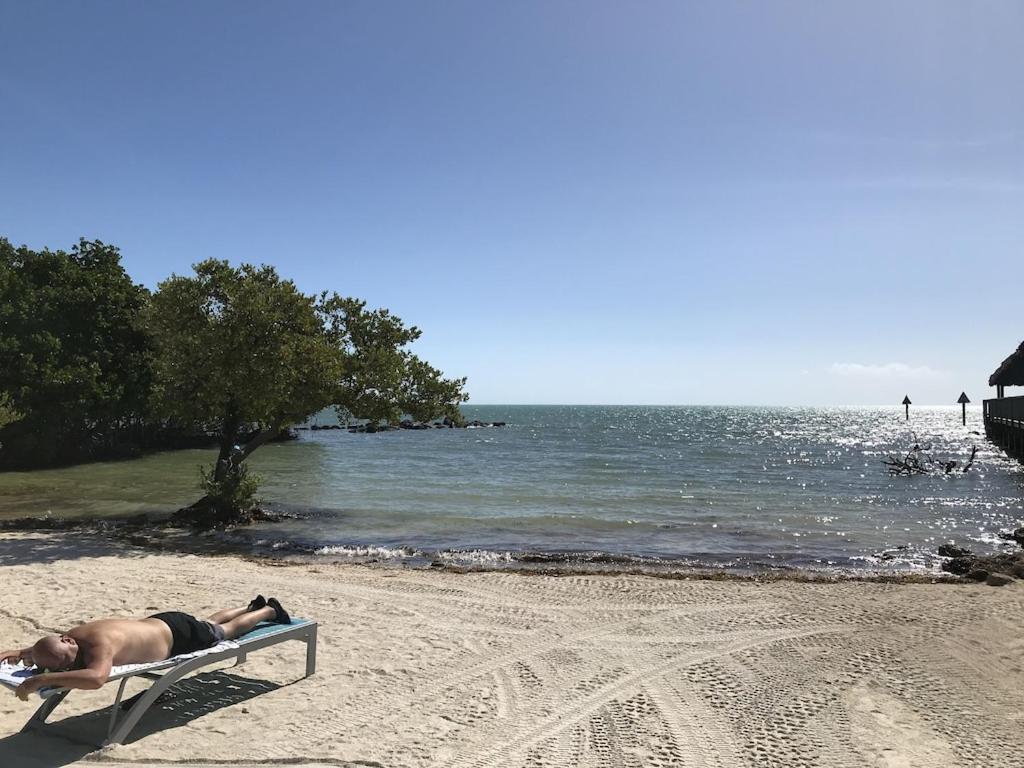 Tropical Daze Oceanfront Paradise Tavernier ภายนอก รูปภาพ