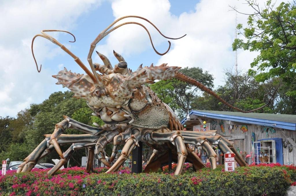 Tropical Daze Oceanfront Paradise Tavernier ภายนอก รูปภาพ